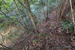 北曲輪堀切 | 高解像度画像サイズ：6000 x 4000 pixels | 写真番号：IMG_1157 | 撮影：Canon EOS R10