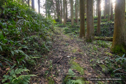 大手道 | 高解像度画像サイズ：6000 x 4000 pixels | 写真番号：IMG_1160 | 撮影：Canon EOS R10