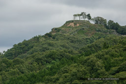 麓から利神城を望む｜高解像度画像サイズ：3072 x 2048 pixels｜写真番号：235-3597_IMG｜撮影：Canon EOS D60