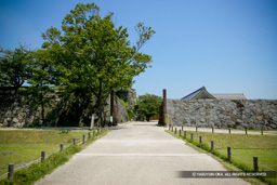  | 高解像度画像サイズ：4834 x 3222 pixels | 写真番号：VJ7Z2361 | 撮影：Canon EOS-1Ds Mark II