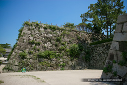 天守台 | 高解像度画像サイズ：4992 x 3328 pixels | 写真番号：VJ7Z2370 | 撮影：Canon EOS-1Ds Mark II