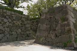  | 高解像度画像サイズ：4992 x 3328 pixels | 写真番号：VJ7Z2372 | 撮影：Canon EOS-1Ds Mark II