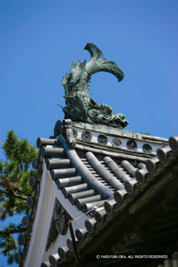 鯱の門 | 高解像度画像サイズ：3328 x 4992 pixels | 写真番号：VJ7Z2383 | 撮影：Canon EOS-1Ds Mark II