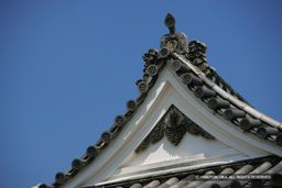 鯱の門 | 高解像度画像サイズ：4992 x 3328 pixels | 写真番号：VJ7Z2391 | 撮影：Canon EOS-1Ds Mark II