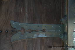  | 高解像度画像サイズ：4992 x 3328 pixels | 写真番号：VJ7Z2404 | 撮影：Canon EOS-1Ds Mark II