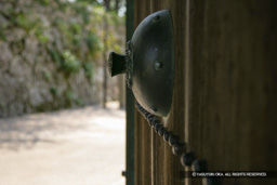  | 高解像度画像サイズ：4712 x 3142 pixels | 写真番号：VJ7Z2406 | 撮影：Canon EOS-1Ds Mark II