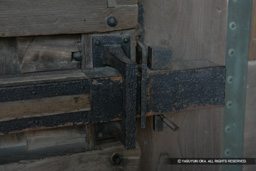  | 高解像度画像サイズ：4803 x 3202 pixels | 写真番号：VJ7Z2407 | 撮影：Canon EOS-1Ds Mark II