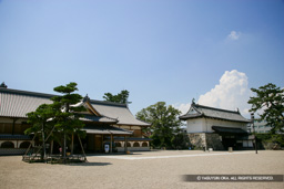 本丸御殿と鯱の門 | 高解像度画像サイズ：4992 x 3328 pixels | 写真番号：VJ7Z2417 | 撮影：Canon EOS-1Ds Mark II