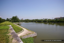  | 高解像度画像サイズ：4992 x 3328 pixels | 写真番号：VJ7Z2435 | 撮影：Canon EOS-1Ds Mark II