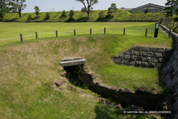  | 高解像度画像サイズ：4577 x 3051 pixels | 写真番号：VJ7Z2446 | 撮影：Canon EOS-1Ds Mark II