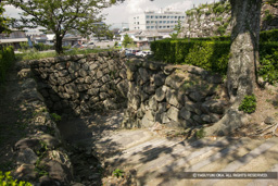  | 高解像度画像サイズ：4992 x 3328 pixels | 写真番号：VJ7Z2456 | 撮影：Canon EOS-1Ds Mark II