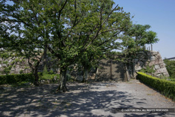 佐賀城天守台 | 高解像度画像サイズ：4803 x 3202 pixels | 写真番号：VJ7Z2457 | 撮影：Canon EOS-1Ds Mark II