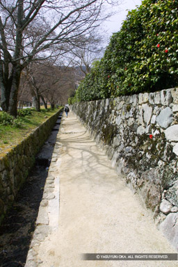 穴太積み石垣・坂本比叡山の街並み | 高解像度画像サイズ:1440 x 2160 pixels | 写真番号:184-8470_IMG | 撮影:Canon EOS D30