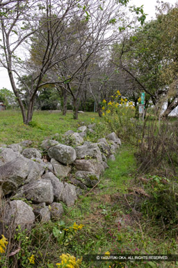 坂本城址公園の石積 | 高解像度画像サイズ：3744 x 5616 pixels | 写真番号：1P3J8362 | 撮影：Canon EOS-1Ds Mark III