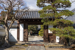 坂本城移築城門・聖衆来迎寺 | 高解像度画像サイズ:8192 x 5464 pixels | 写真番号:344A6199 | 撮影:Canon EOS R5