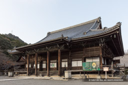 西教寺 | 高解像度画像サイズ：6707 x 4472 pixels | 写真番号：5D4A3883 | 撮影：Canon EOS 5D Mark IV