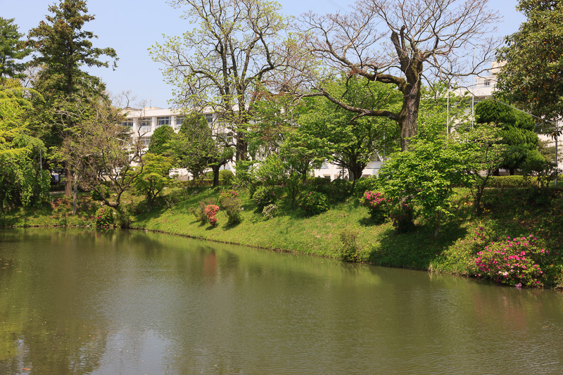 二の丸の水濠