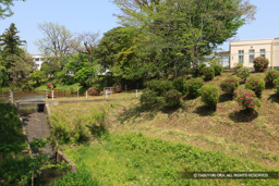 三田陣屋二の丸東側の空堀 | 高解像度画像サイズ:5489 x 3660 pixels | 写真番号:1P3J6030 | 撮影:Canon EOS-1Ds Mark III