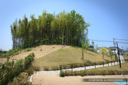 古城公園 | 高解像度画像サイズ：5616 x 3744 pixels | 写真番号：1P3J6046 | 撮影：Canon EOS-1Ds Mark III