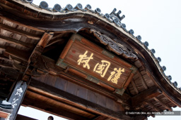 心月院 | 高解像度画像サイズ：5616 x 3744 pixels | 写真番号：1P3J6060 | 撮影：Canon EOS-1Ds Mark III