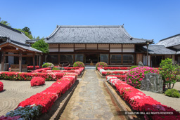 心月院・本堂 | 高解像度画像サイズ:5484 x 3656 pixels | 写真番号:1P3J6067 | 撮影:Canon EOS-1Ds Mark III