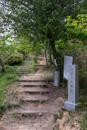 篠ノ丸城