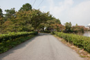 篠山城