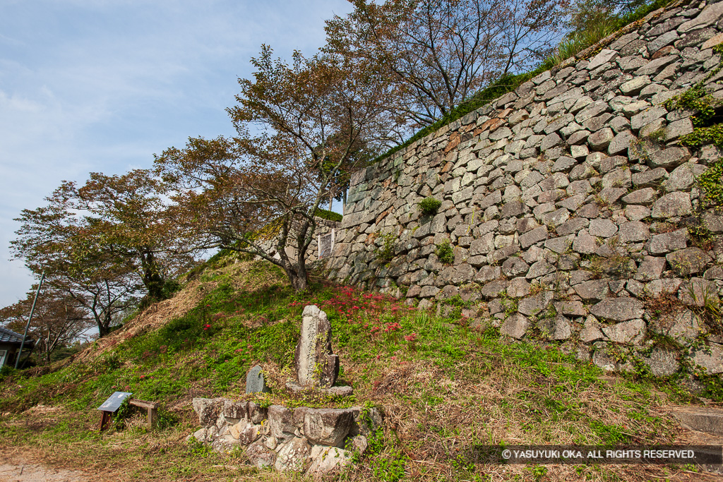 二の丸埋門への登城路