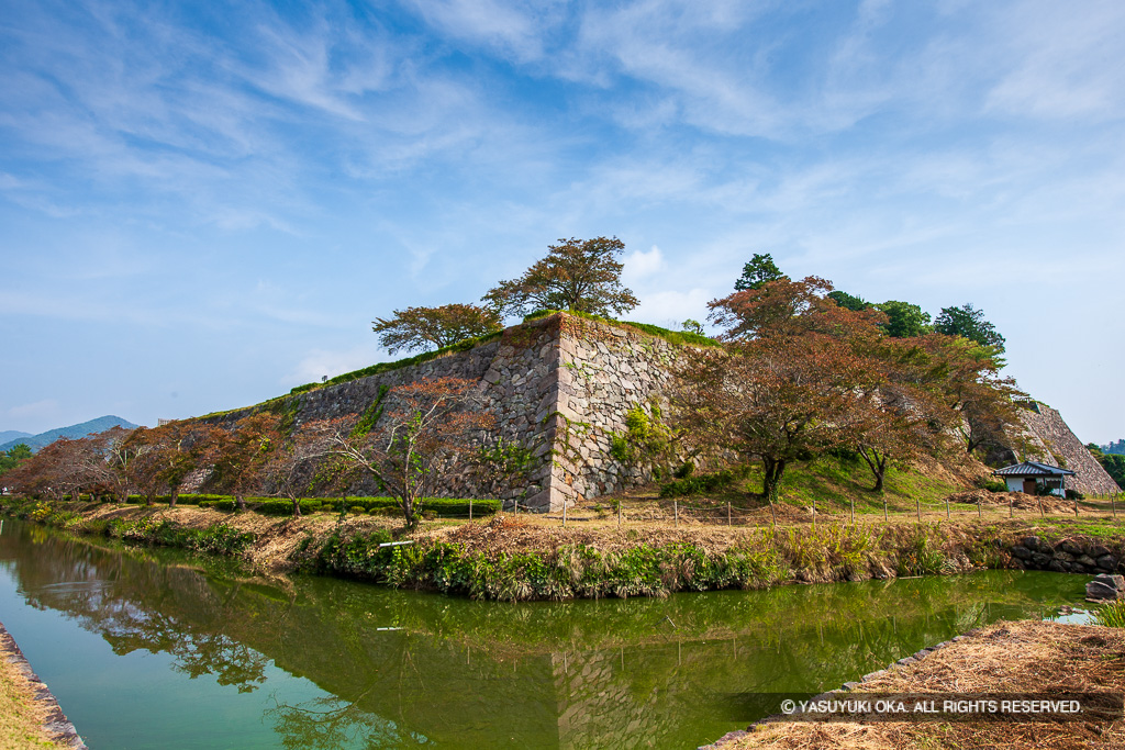 二の丸石垣と内堀