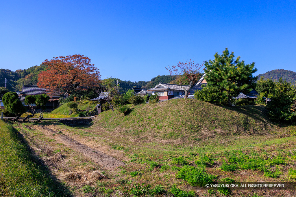 土居の内跡（大淵館）