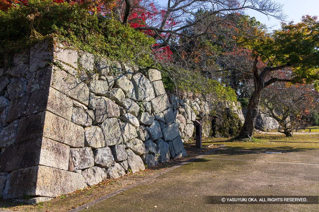 本丸石垣