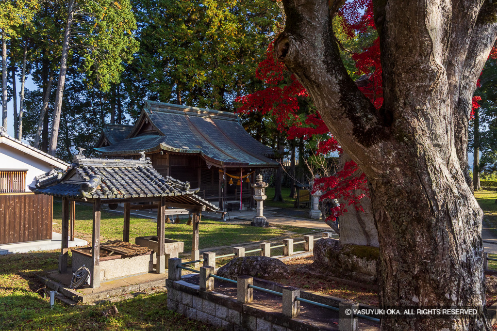 本丸跡・井戸・青山神社