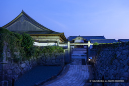 ライトアップ | 高解像度画像サイズ：5571 x 3714 pixels | 写真番号：1P3J0735 | 撮影：Canon EOS-1Ds Mark III