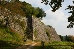 二の丸石垣南面 | 高解像度画像サイズ：5616 x 3744 pixels | 写真番号：1P3J0962 | 撮影：Canon EOS-1Ds Mark III