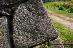 二の丸埋門付近の石垣刻印・五芒星 | 高解像度画像サイズ：4418 x 2946 pixels | 写真番号：1P3J0963 | 撮影：Canon EOS-1Ds Mark III