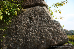 二の丸埋門付近の石垣刻印 | 高解像度画像サイズ：5423 x 3615 pixels | 写真番号：1P3J0964 | 撮影：Canon EOS-1Ds Mark III