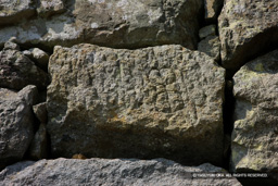 二の丸埋門付近の石垣刻印・串団子 | 高解像度画像サイズ：5560 x 3706 pixels | 写真番号：1P3J0966 | 撮影：Canon EOS-1Ds Mark III