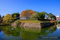 東馬出 | 高解像度画像サイズ：8192 x 5464 pixels | 写真番号：344A2950 | 撮影：Canon EOS R5