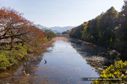 東外濠 | 高解像度画像サイズ：8192 x 5464 pixels | 写真番号：344A2951 | 撮影：Canon EOS R5