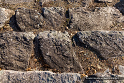 石階の刻印 | 高解像度画像サイズ：8192 x 5464 pixels | 写真番号：344A3091 | 撮影：Canon EOS R5