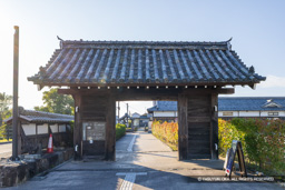 篠山地方役所門（移築復元） | 高解像度画像サイズ：7483 x 4991 pixels | 写真番号：344A3130 | 撮影：Canon EOS R5