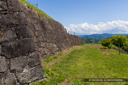 本丸石垣西面 | 高解像度画像サイズ：8192 x 5464 pixels | 写真番号：344A1319 | 撮影：Canon EOS R5