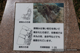  | 高解像度画像サイズ：8192 x 5464 pixels | 写真番号：344A1332 | 撮影：Canon EOS R5