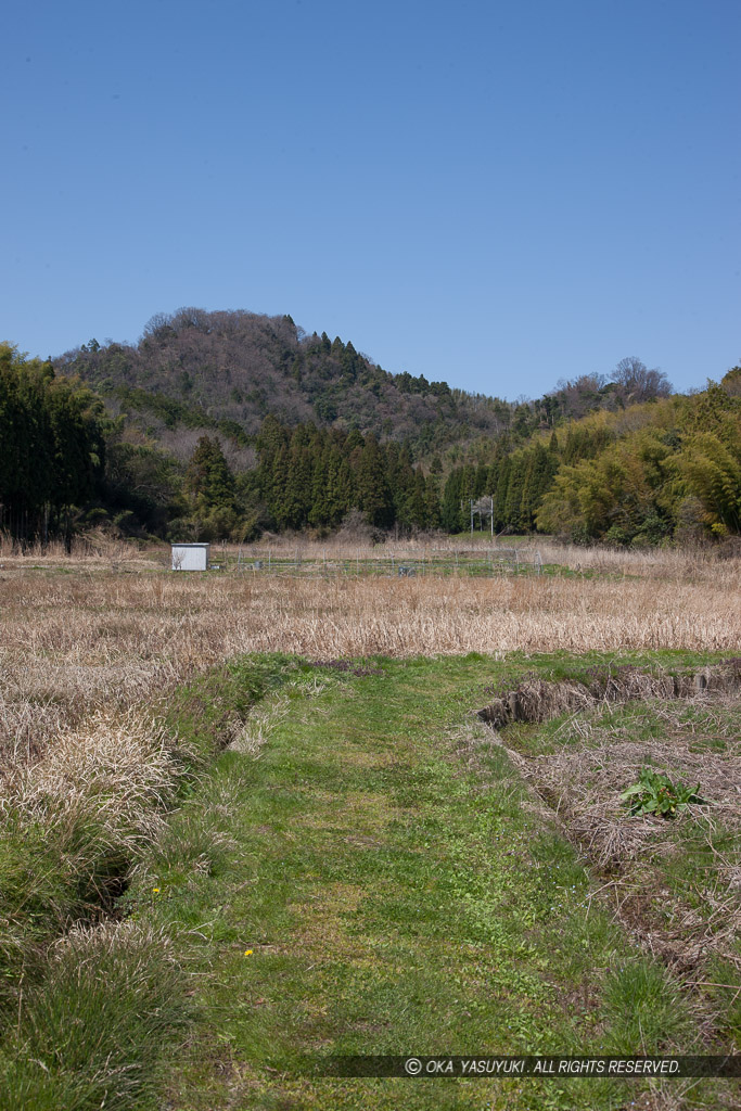 大手門跡から本丸を望む