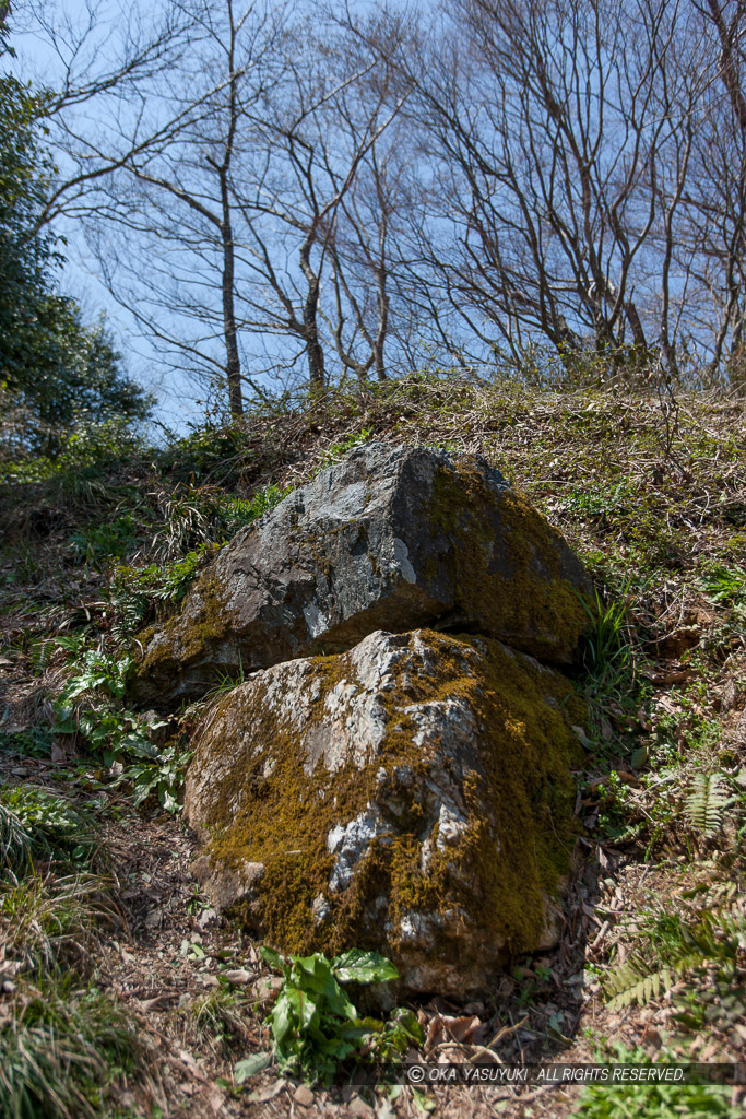 佐和山城本丸隅石垣