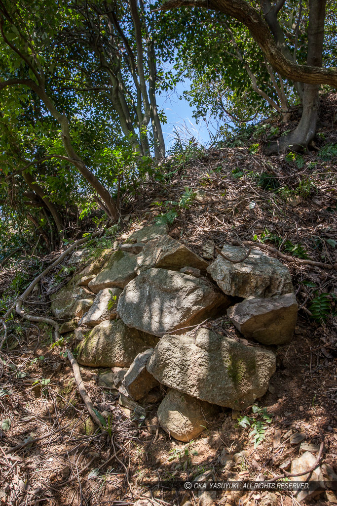佐和山城で近年発見された石垣・本丸南側