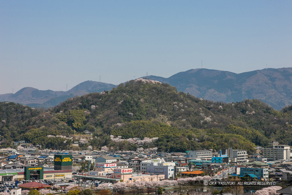 彦根城から佐和山城を望む