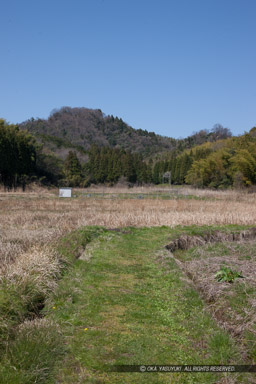 大手門跡から本丸を望む｜高解像度画像サイズ：3658 x 5487 pixels｜写真番号：1P3J4209｜撮影：Canon EOS-1Ds Mark III