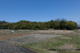 大手門跡から三の丸を望む｜高解像度画像サイズ：5378 x 3585 pixels｜写真番号：1P3J4231｜撮影：Canon EOS-1Ds Mark III