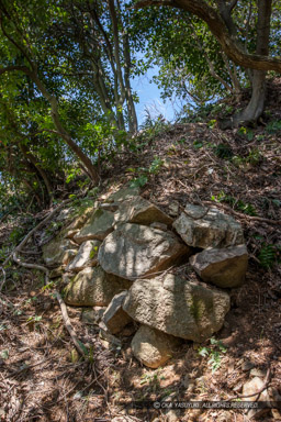 佐和山城で近年発見された石垣・本丸南側｜高解像度画像サイズ：3744 x 5616 pixels｜写真番号：1P3J4285｜撮影：Canon EOS-1Ds Mark III